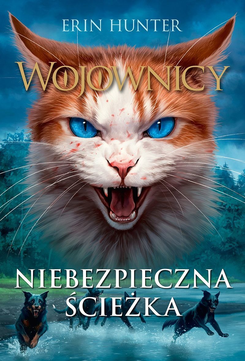 Niebezpieczna ścieżka, Wojownicy, Tom V
