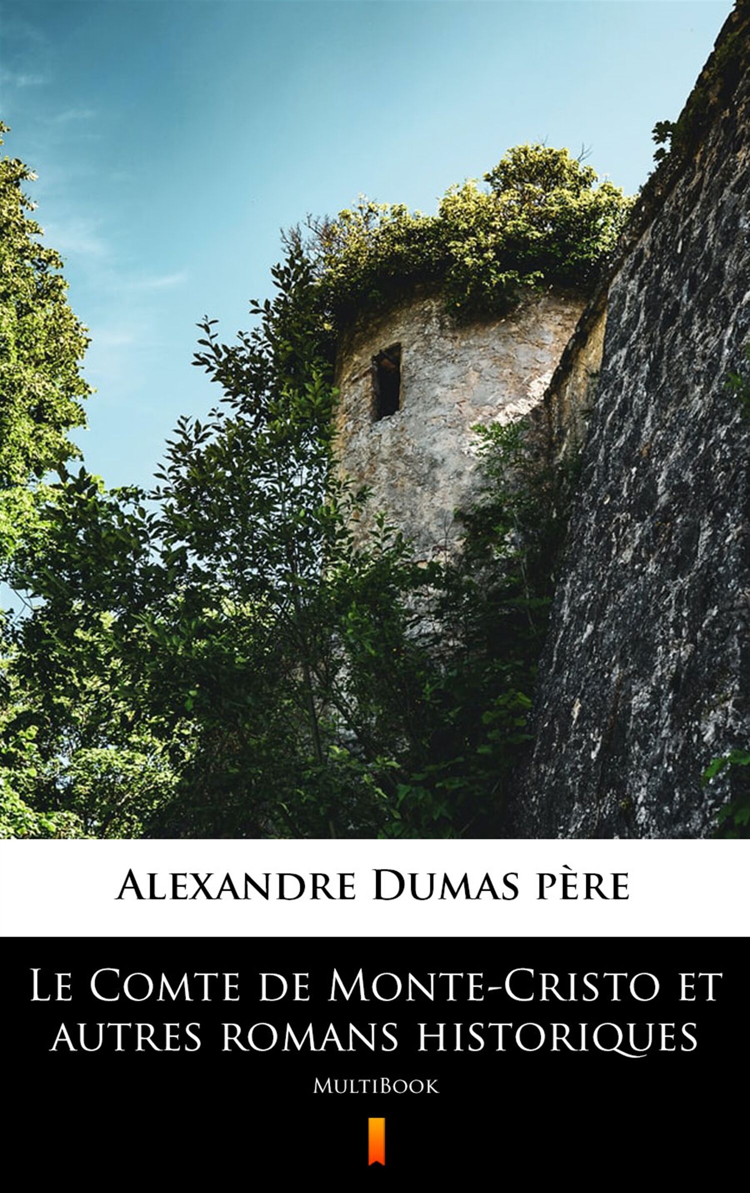 Le Comte de Monte-Cristo et autres romans historiques (e-book)