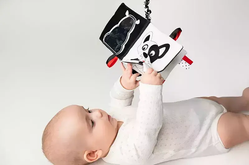 Książeczka kto to? co to?