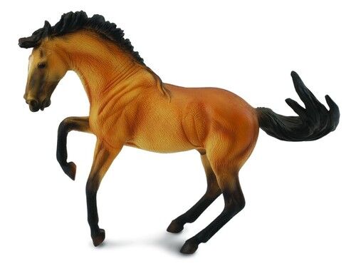 Ogier lusitano buckskin XL
