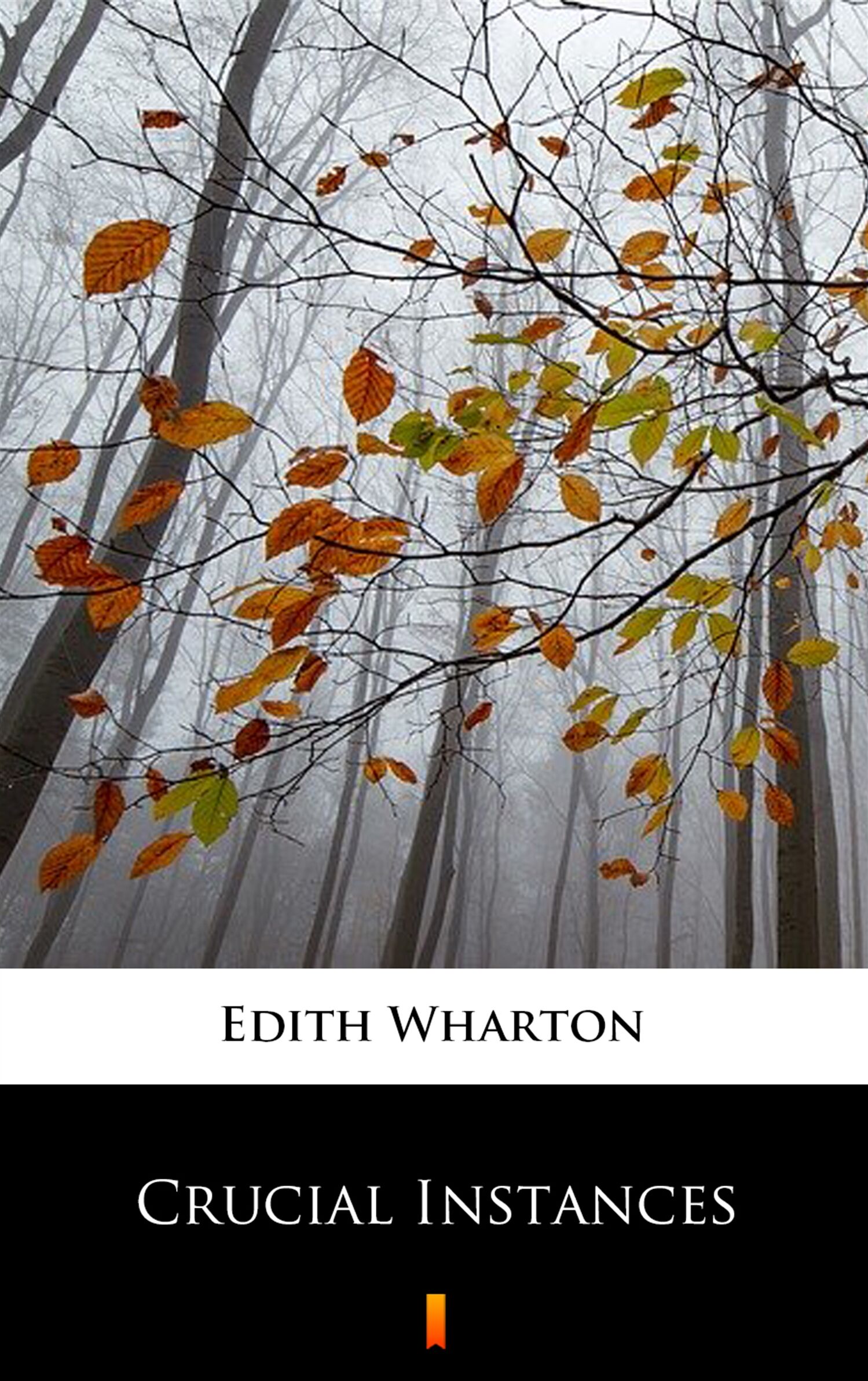 Crucial Instances (e-book)