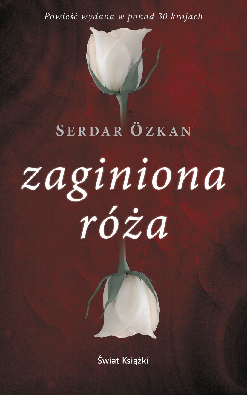 Zaginiona róża