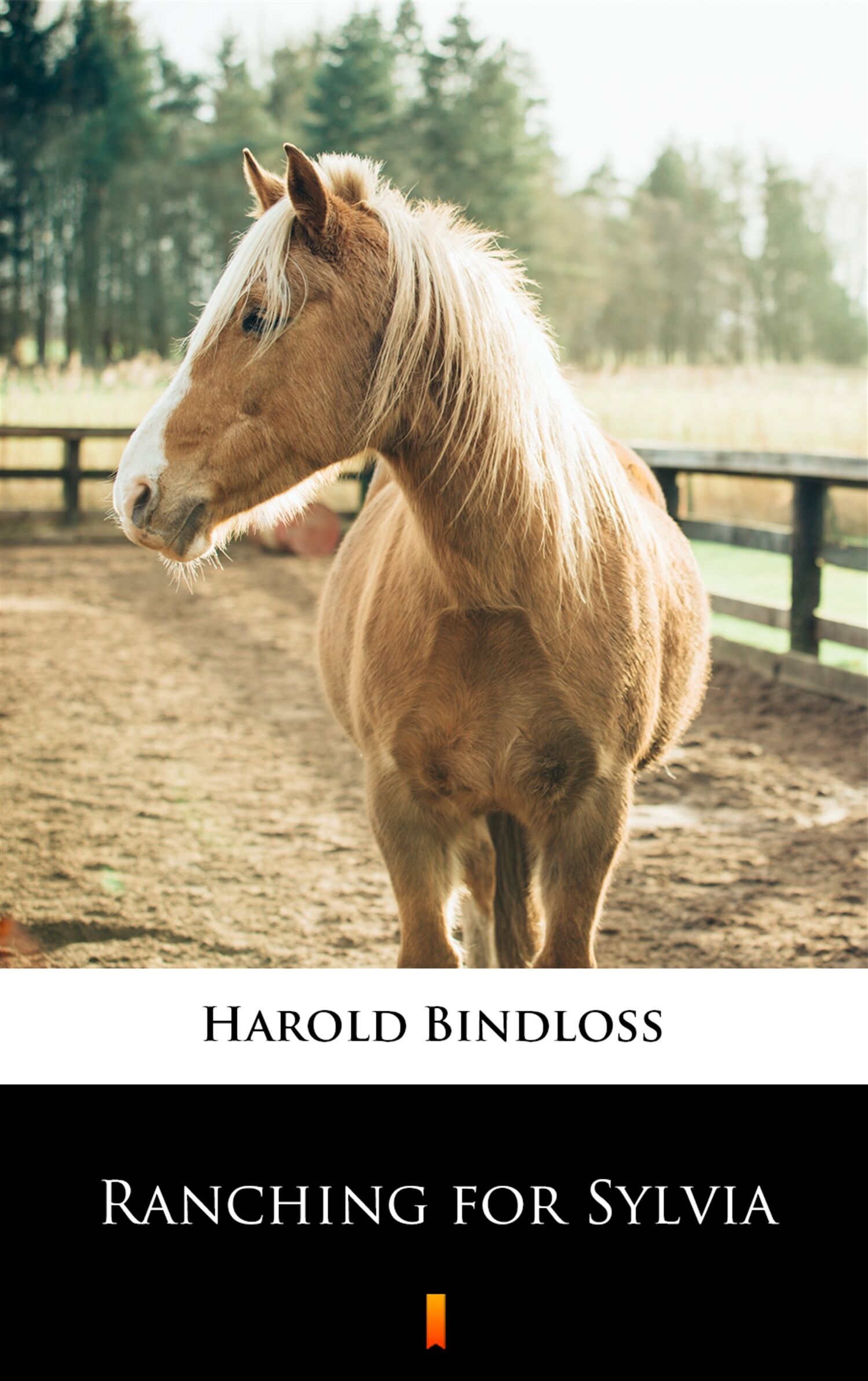 Ranching for Sylvia (e-book)