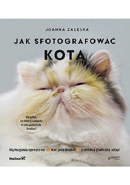 Jak fotografować kota