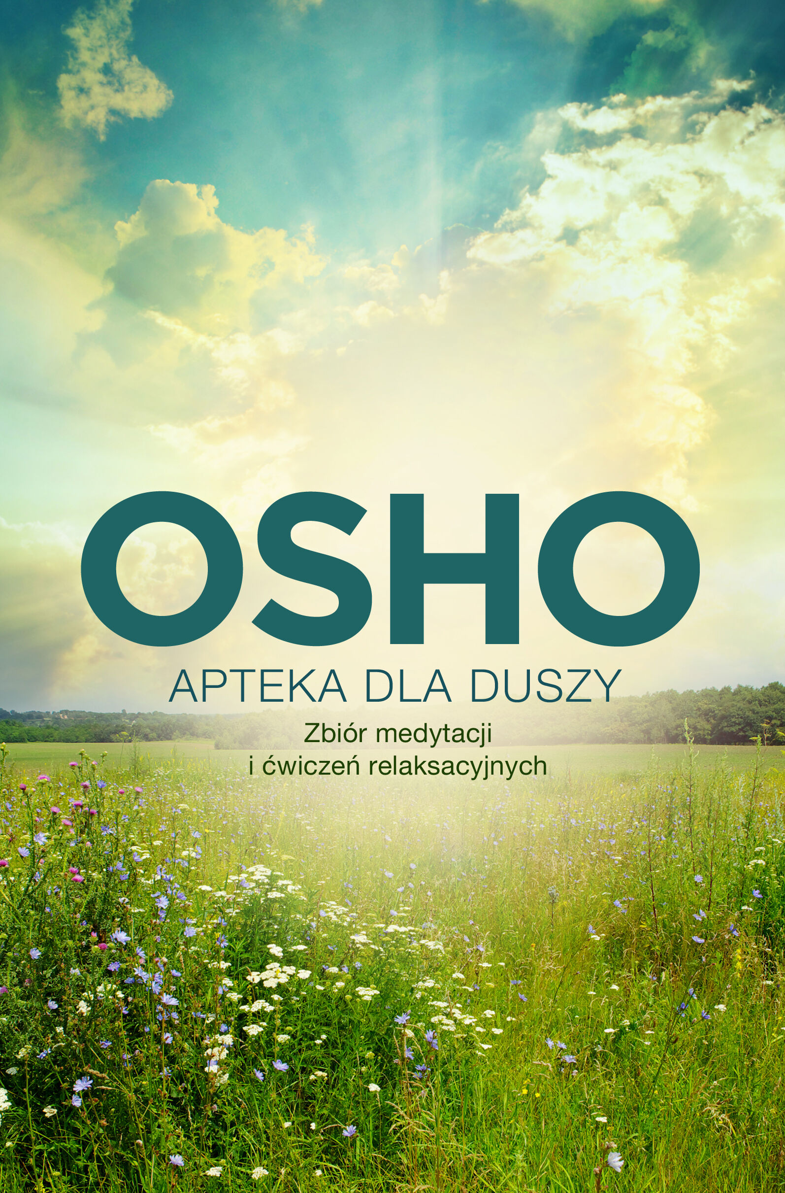 Apteka dla duszy (e-book)