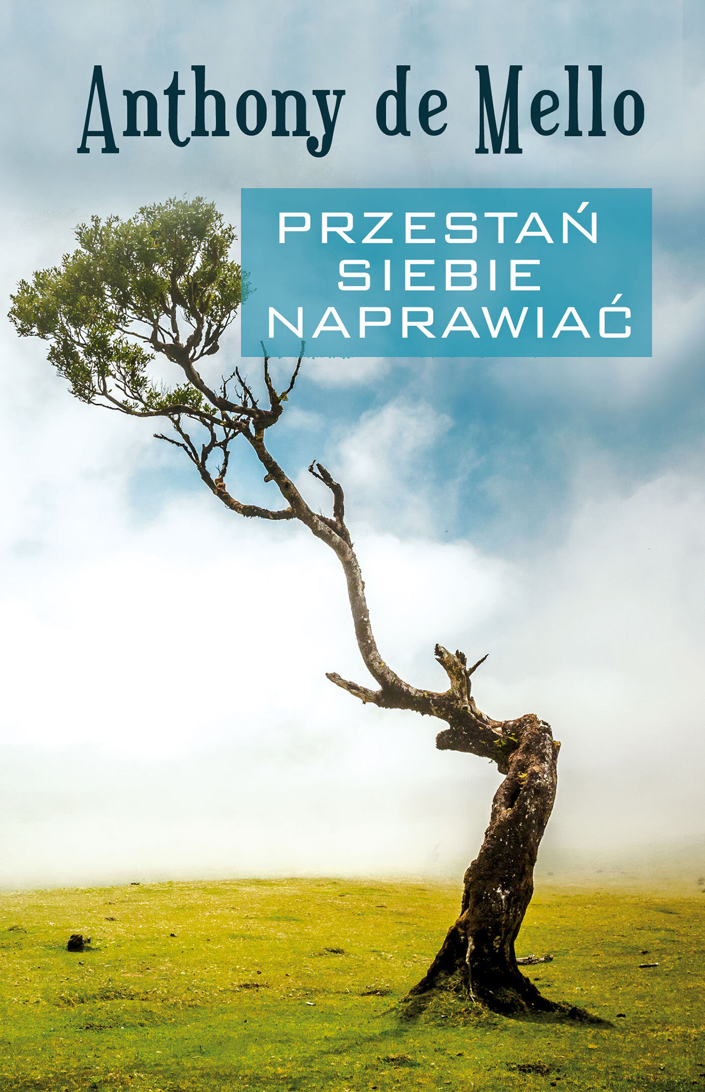 Przestań siebie naprawiać (e-book)