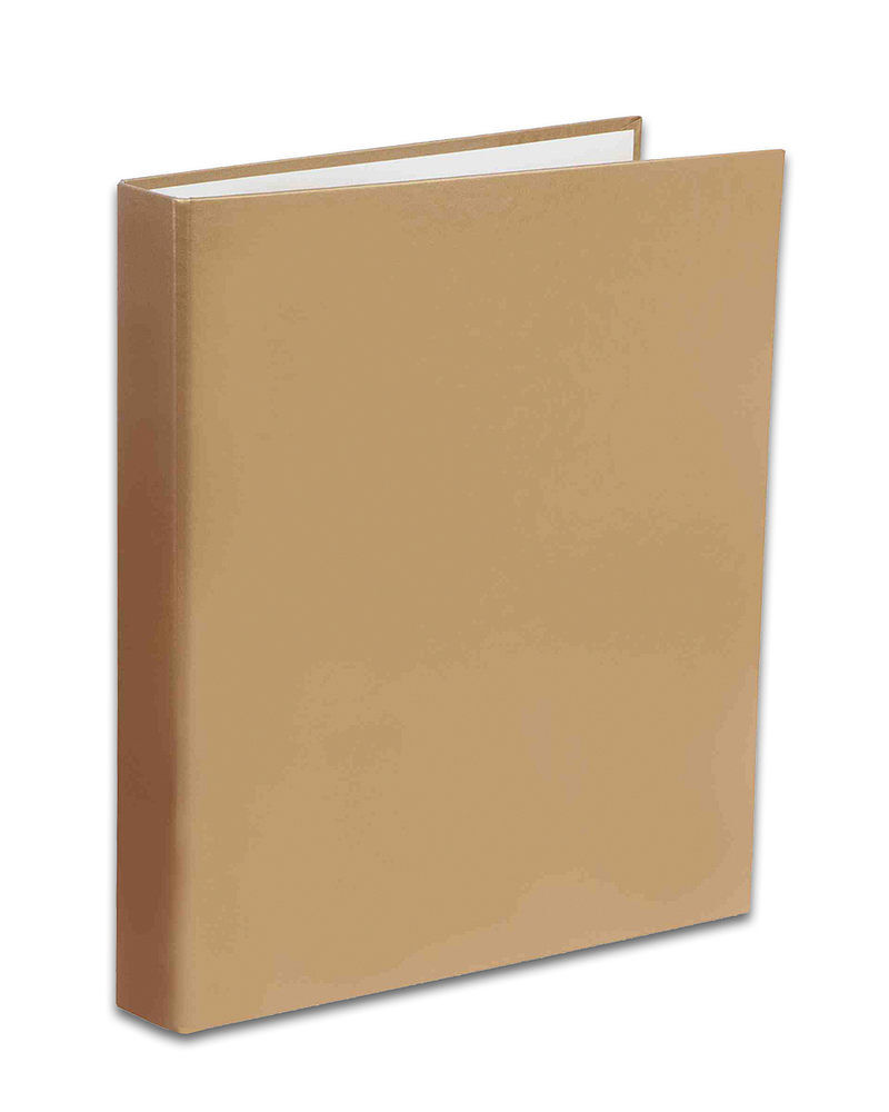 Segregator a4/2r penmate złoty