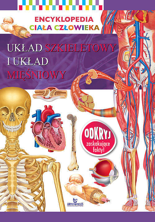 Encyklopedia ciała człowieka. Układ szkieletowy i układ mięśniowy