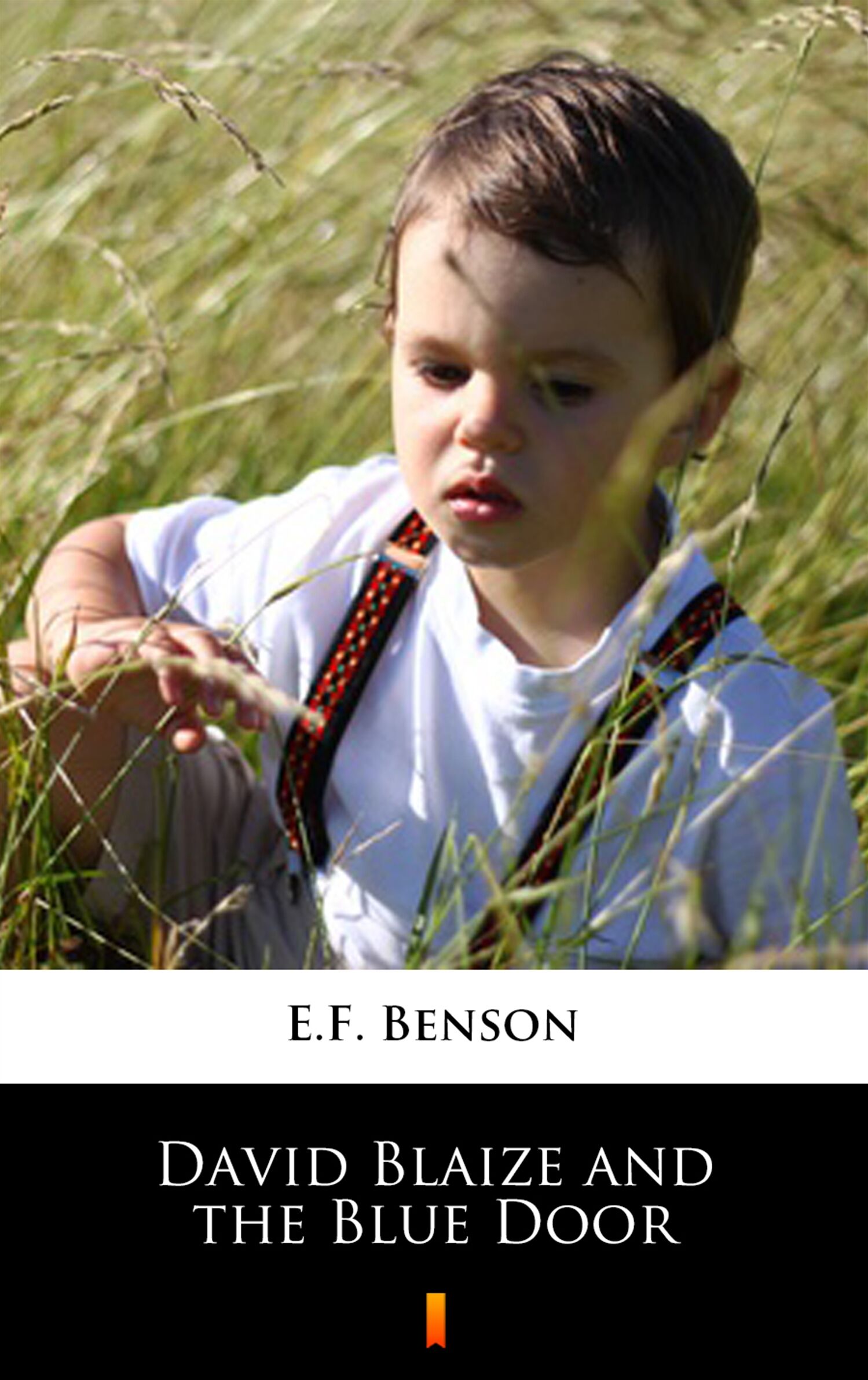 David Blaize and the Blue Door (e-book)