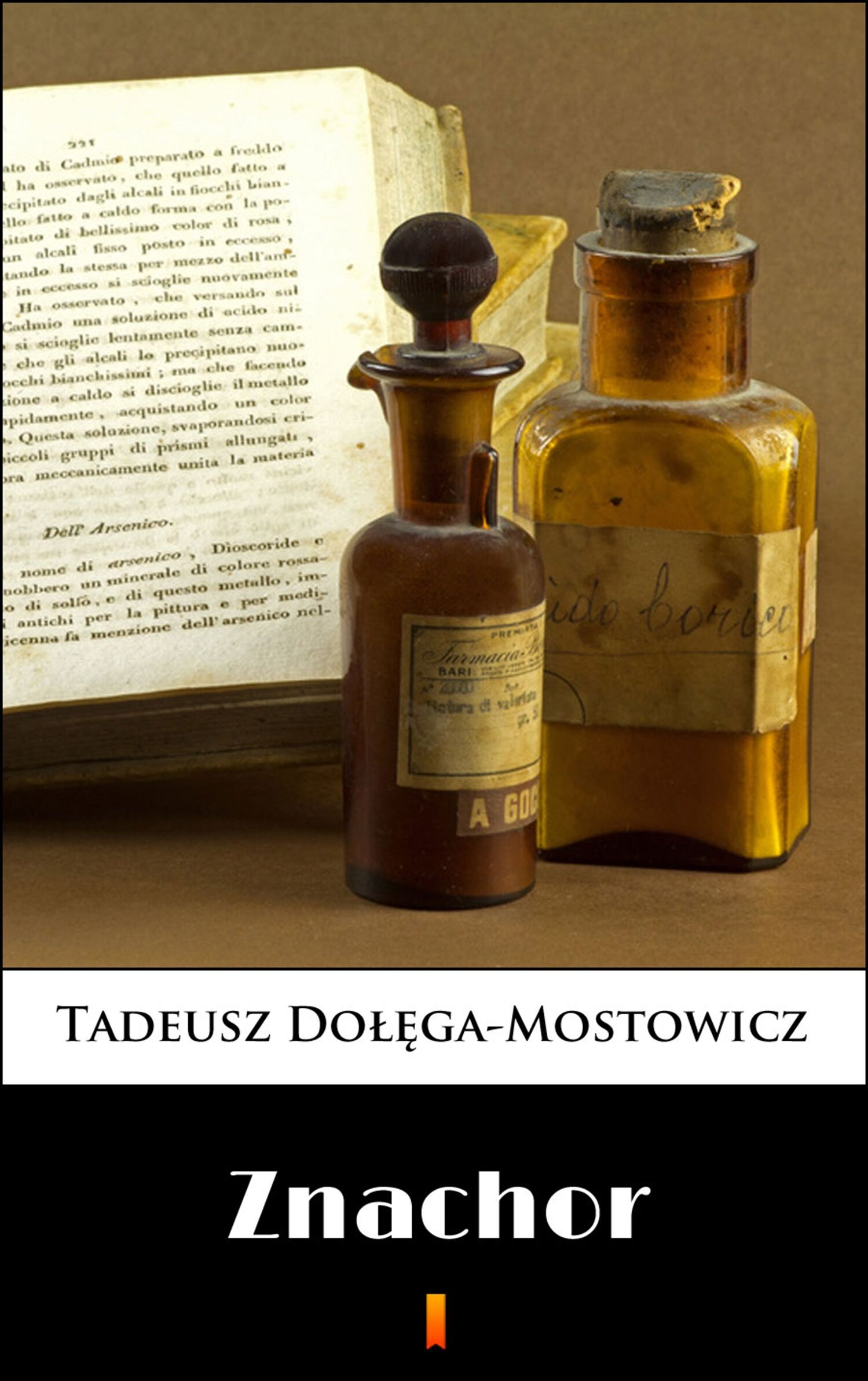 Znachor (e-book)