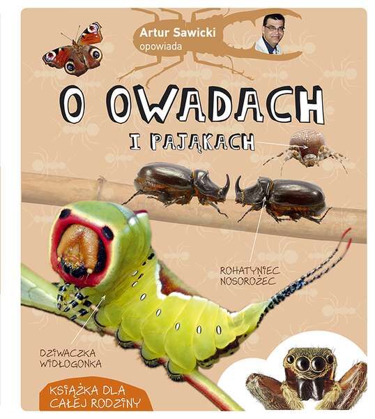 Artur sawicki opowiada o owadach i pająkach