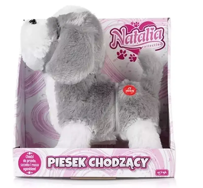 Piesek chodzący na smyczy natalia szary