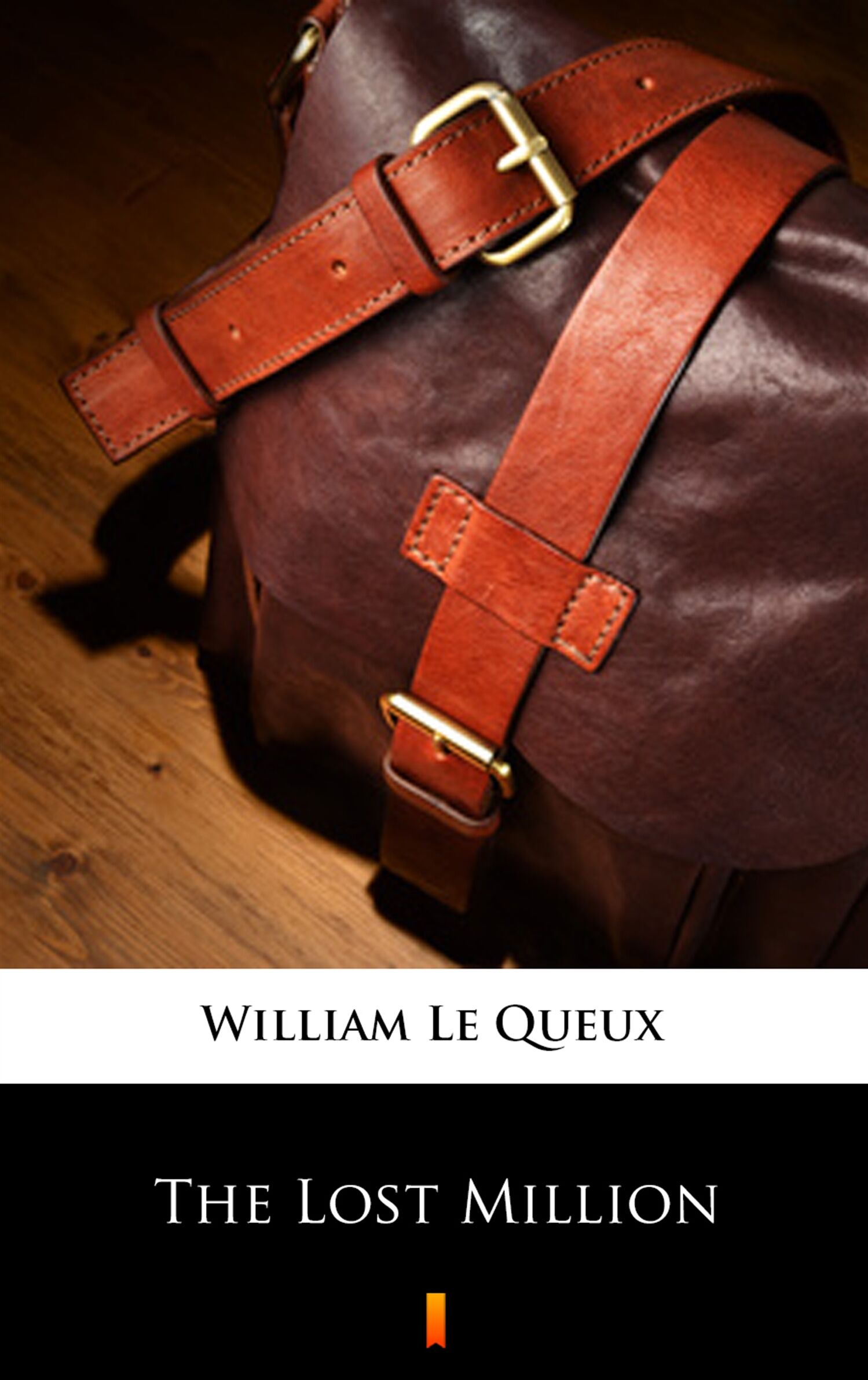 The Lost Million (e-book)
