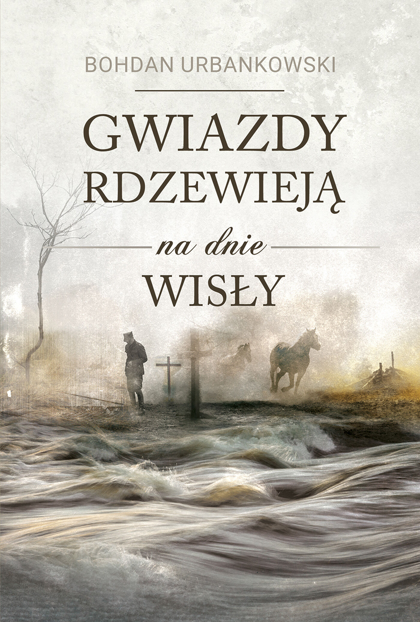 Gwiazdy rdzewieją na dnie Wisły (e-book)