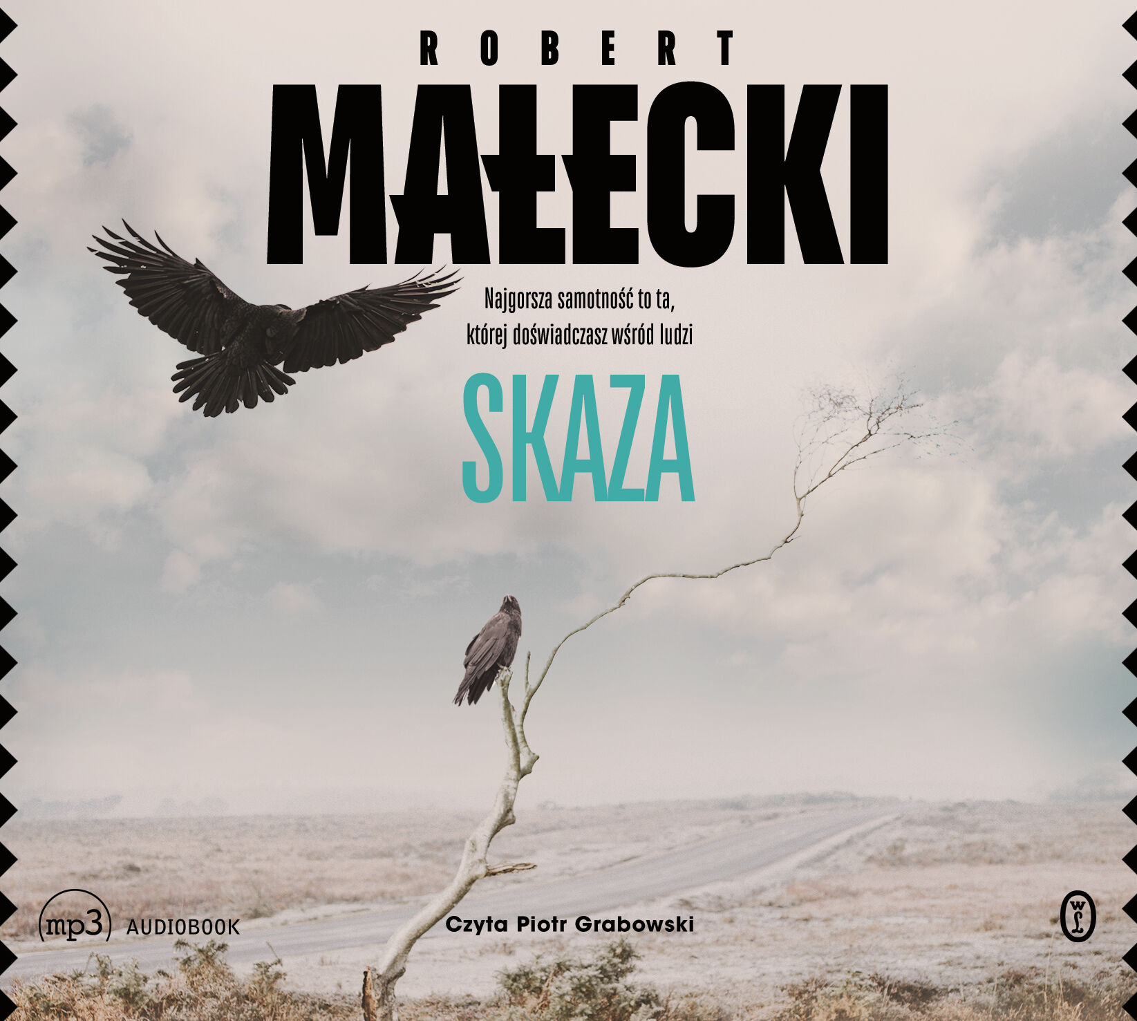 Skaza (audiobook MP3)