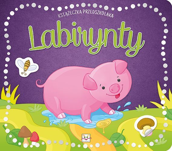 Książeczka przedszkolaka. Labirynty