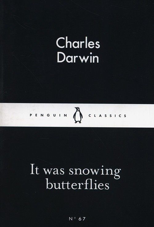 It was snowing butterflies