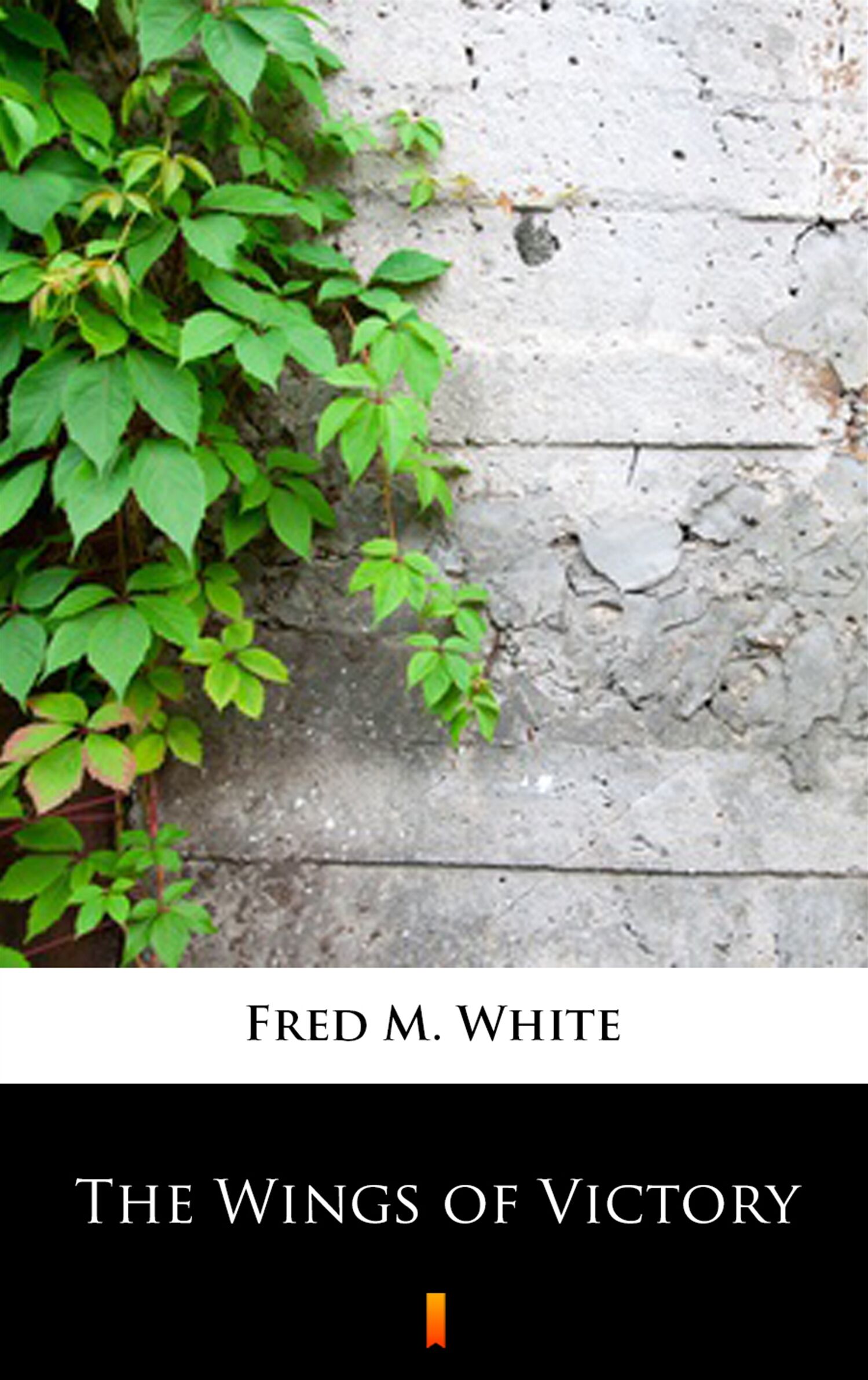 The Wings of Victory (e-book)