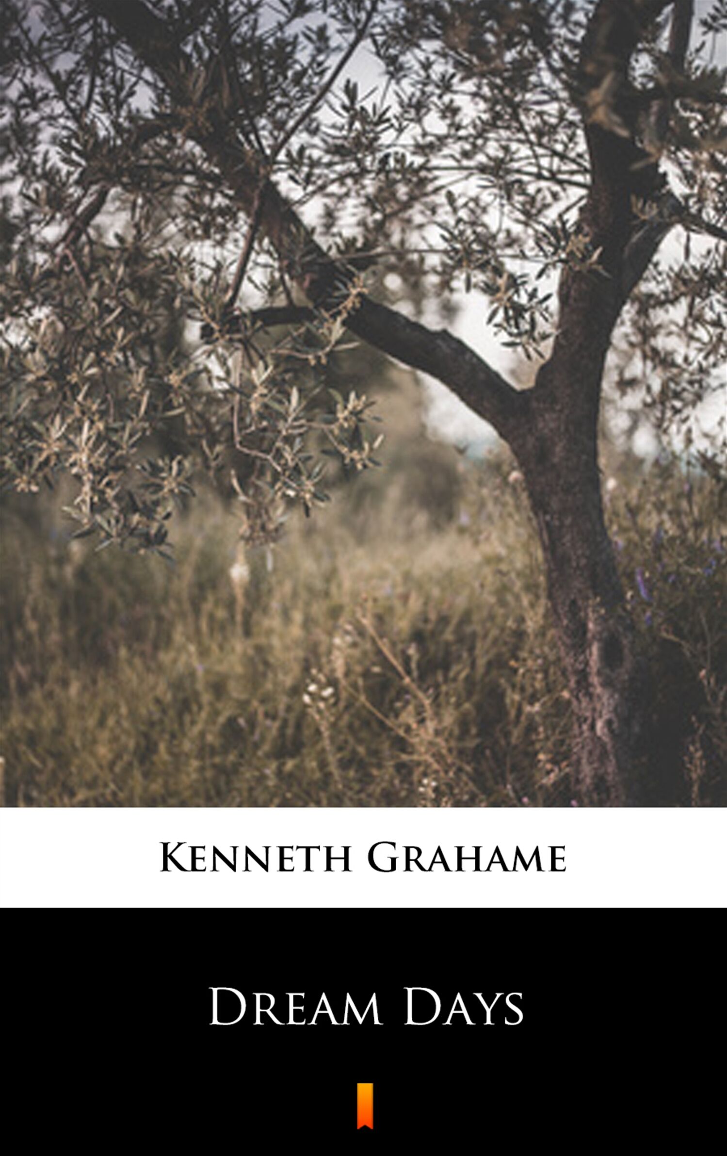 Dream Days (e-book)