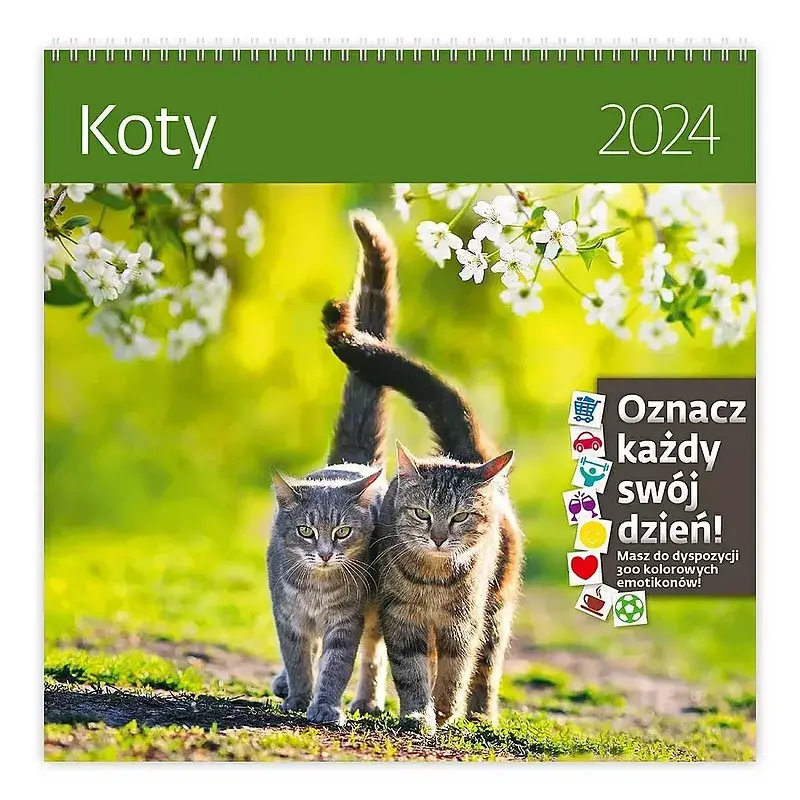 Kalendarz 2024 koty z naklejkami ścienny