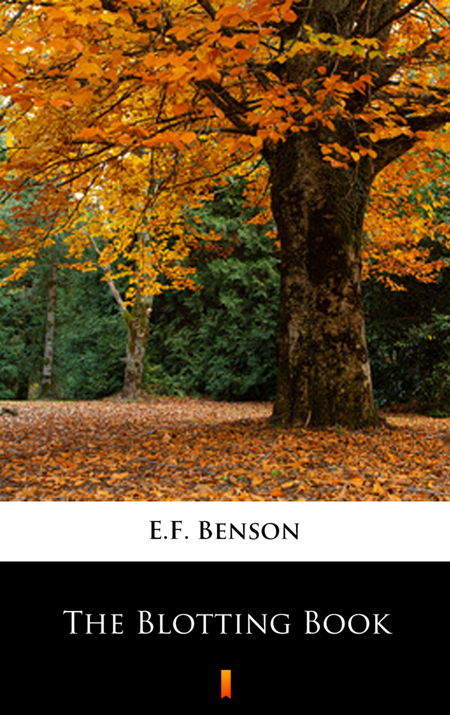 The Blotting Book (e-book)