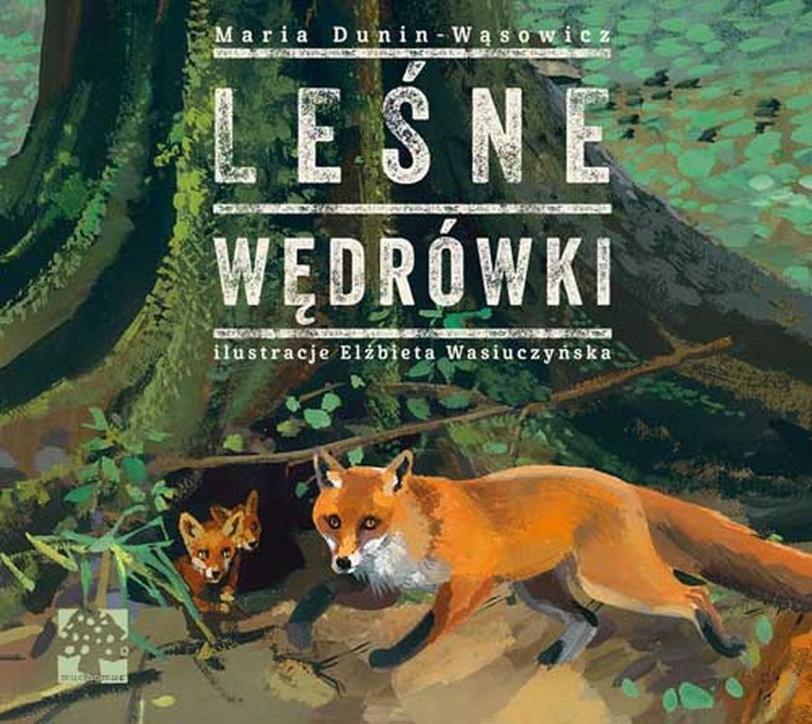 Leśne wędrówki