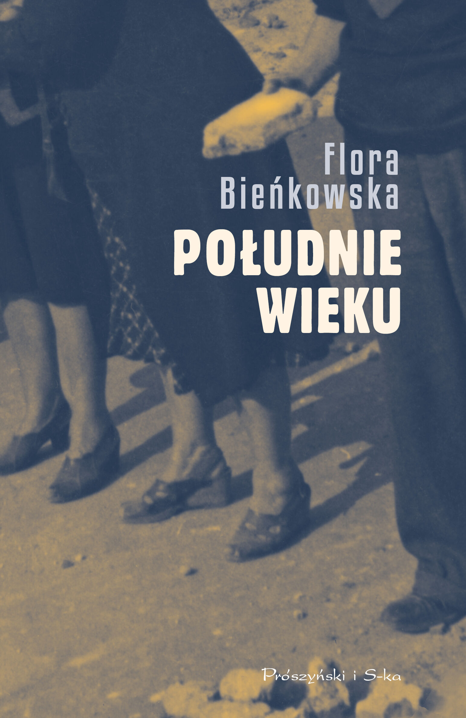 Południe wieku (e-book)