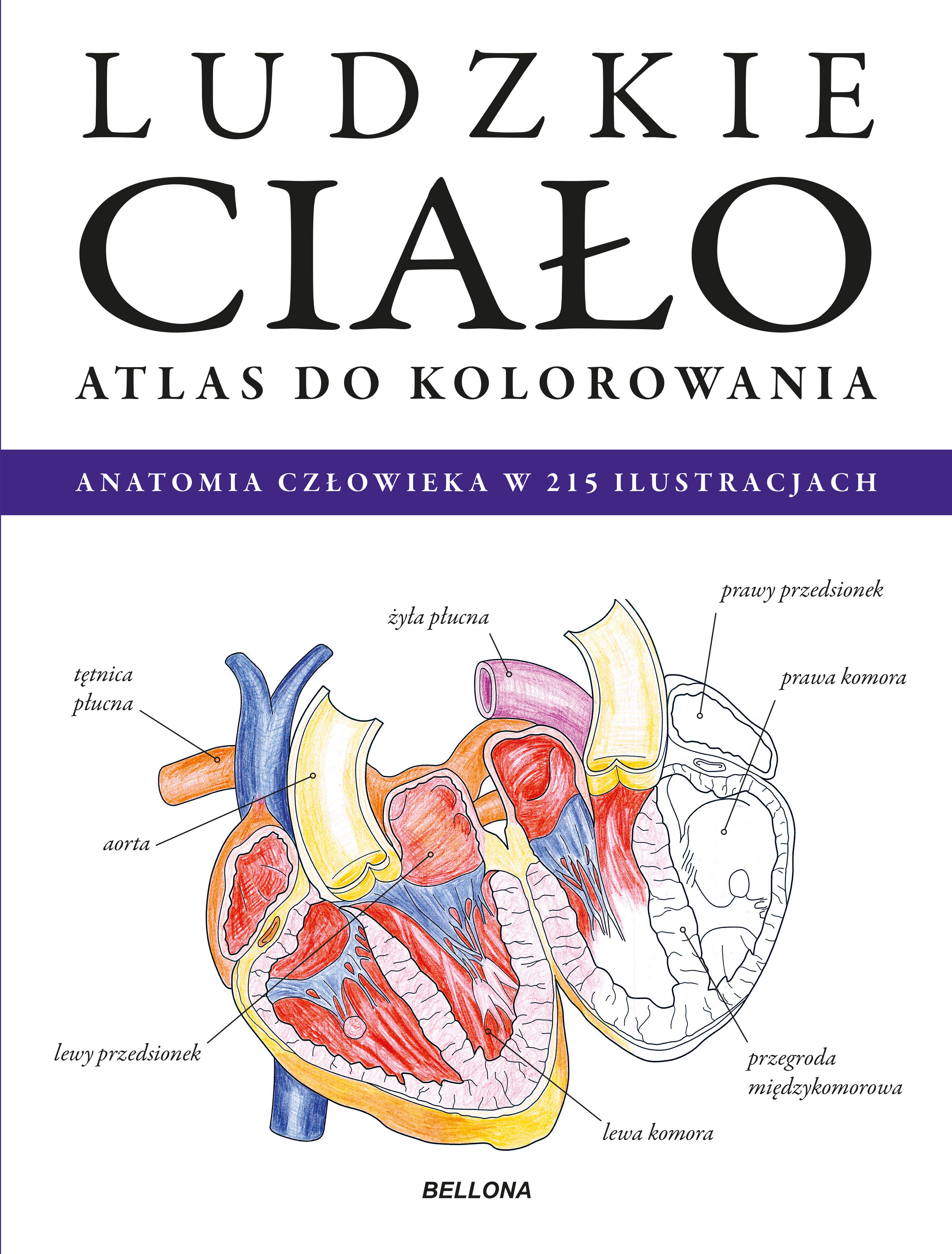 Ludzkie ciało. Atlas Do Kolorowania