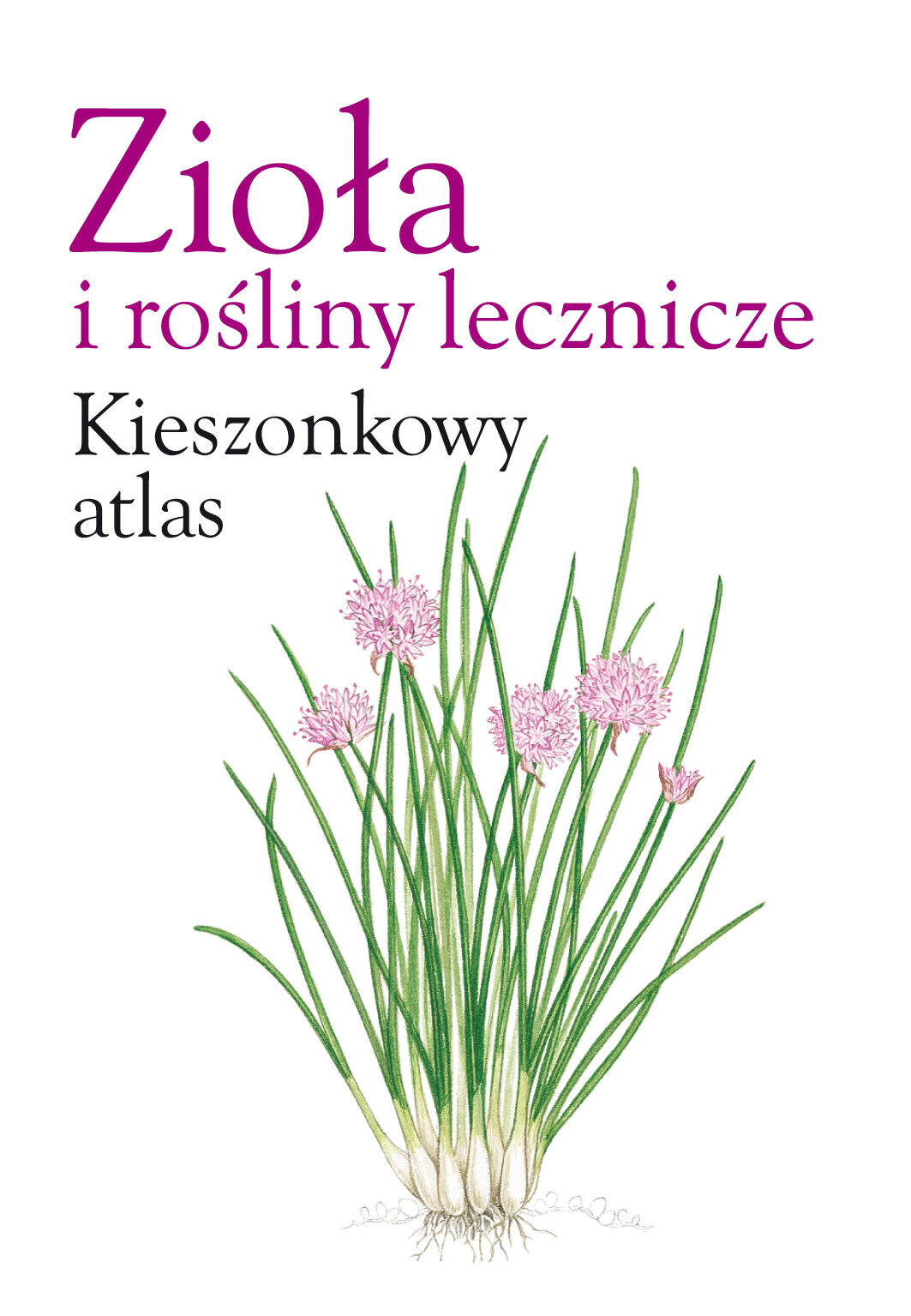 Zioła i rośliny lecznicze. Kieszonkowy atlas