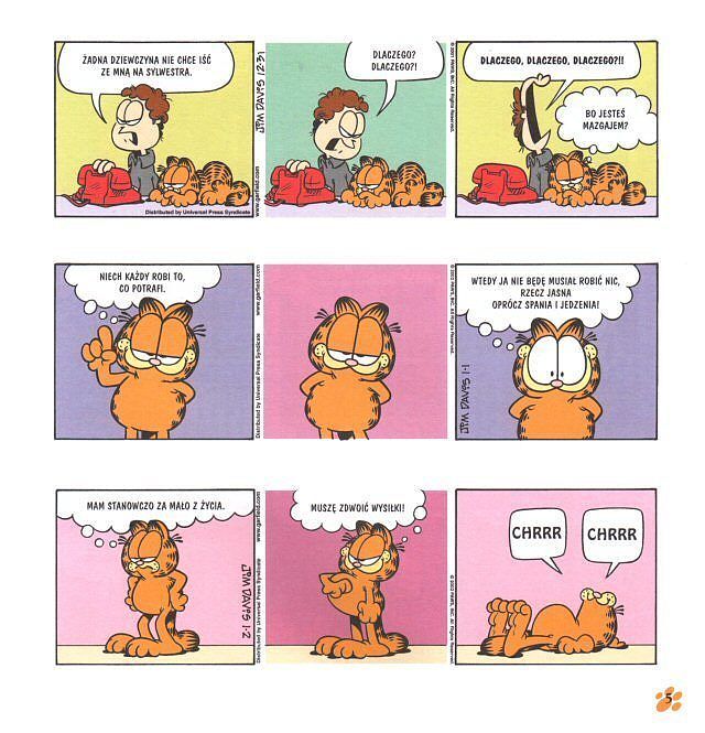 Garfield XXL - 6 - Starszy i szerszy, ale nadal w formie!