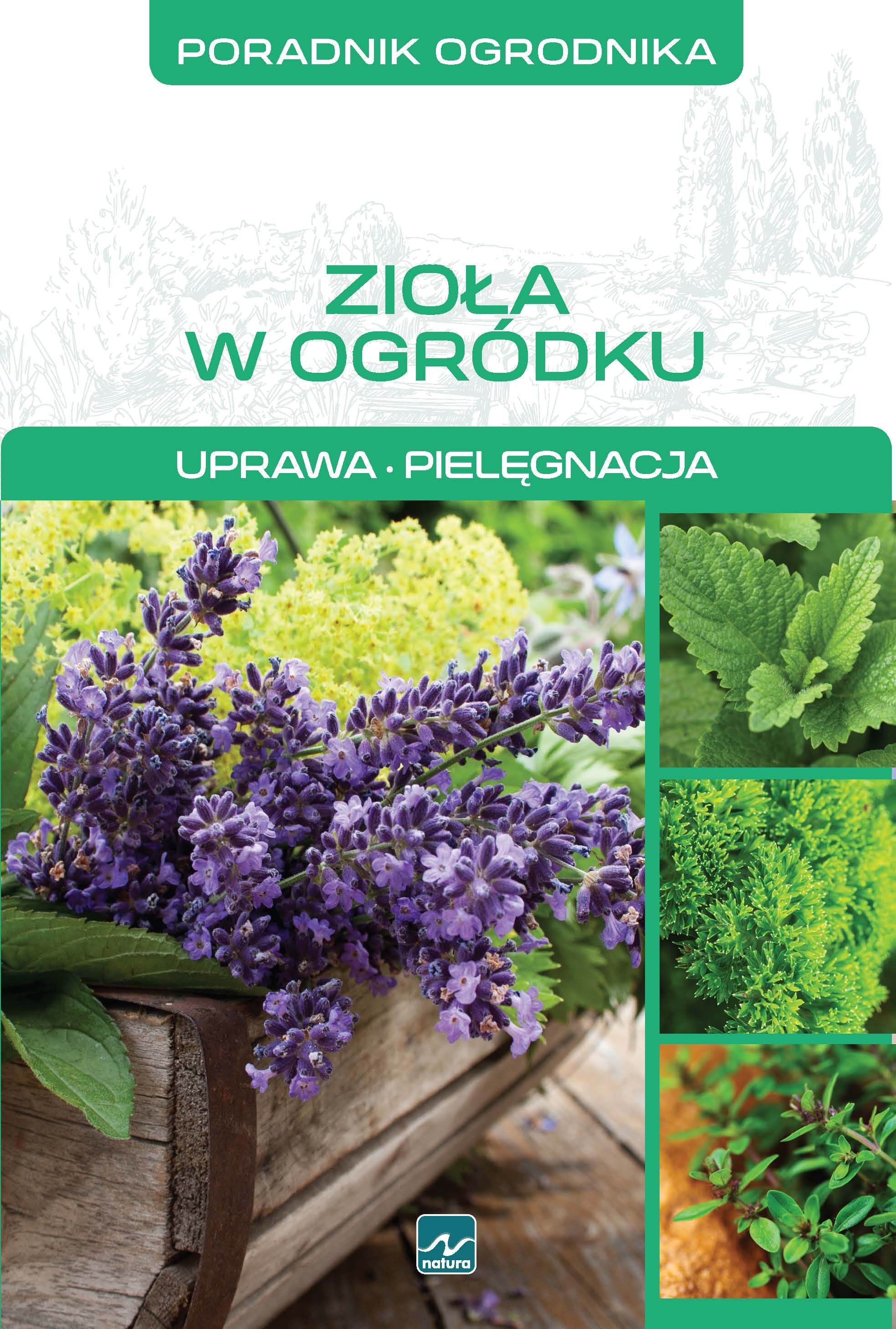 Natura. Zioła w ogródku