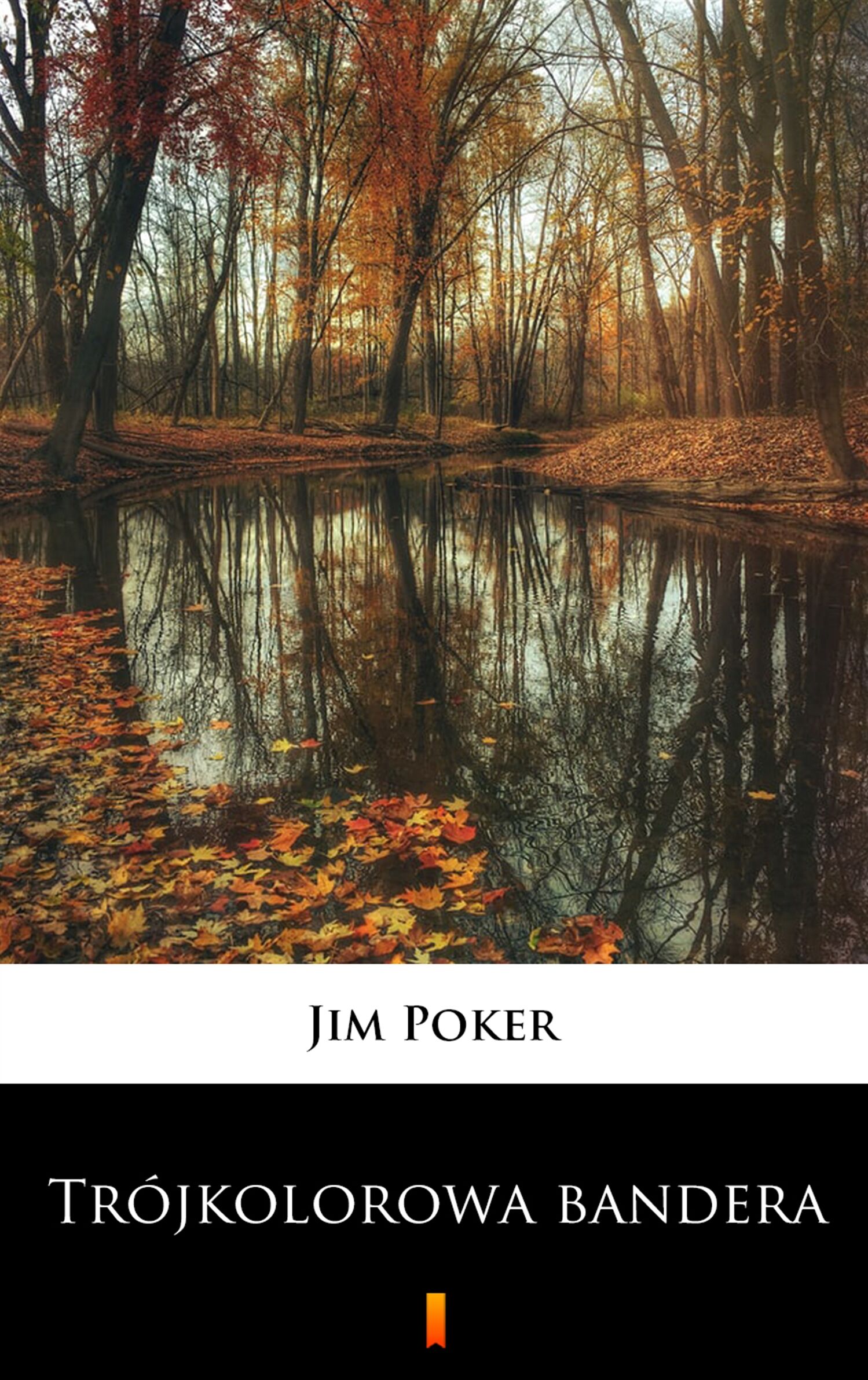 Trójkolorowa bandera (e-book)