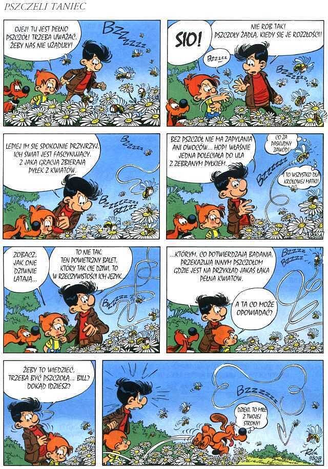 Bob i Bill - 1 - Oto i oni