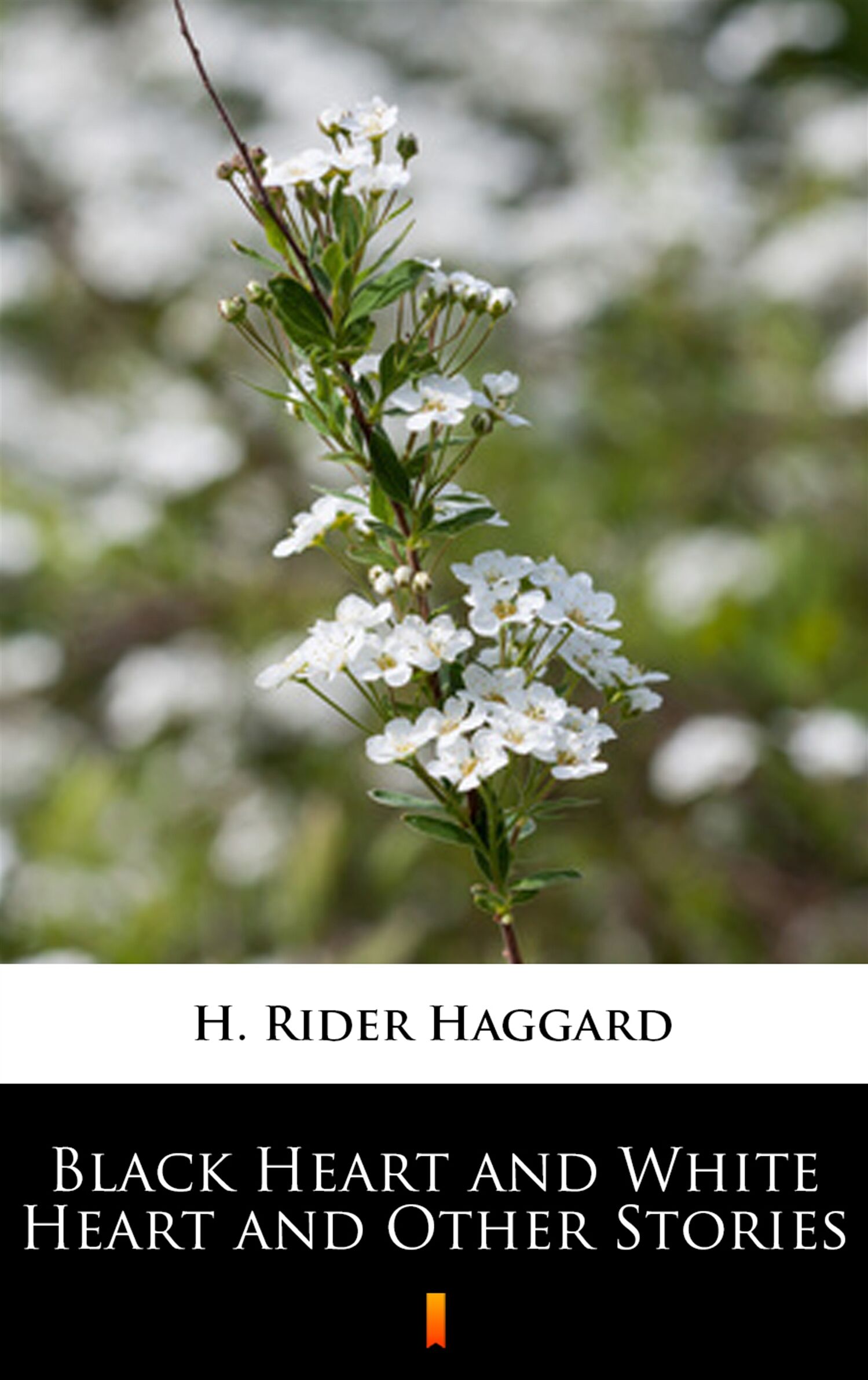 Black Heart and White Heart and Other Stories (e-book)