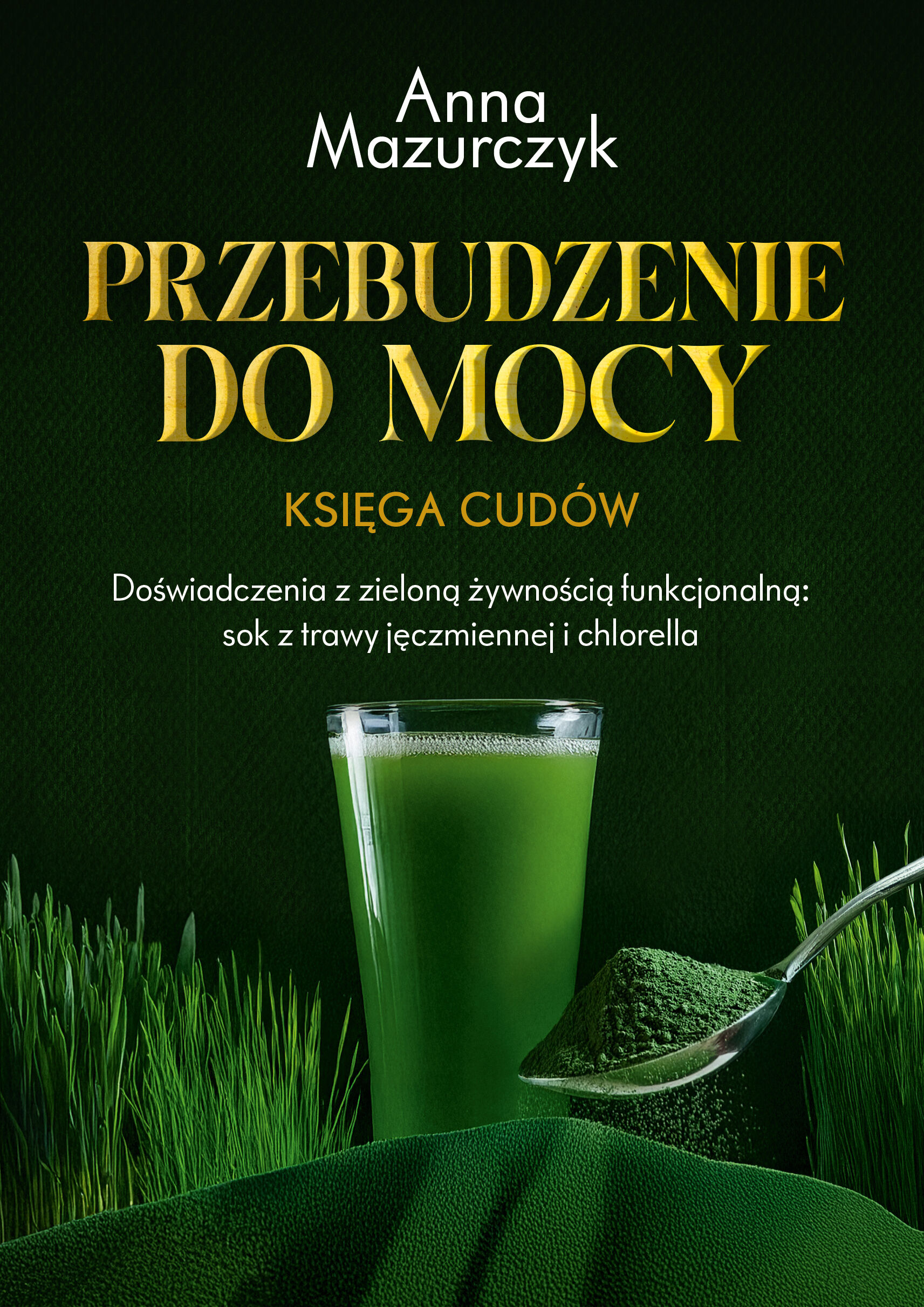 Przebudzenie do mocy (e-book)