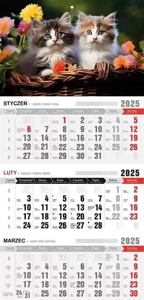 Kalendarz 2025 trójdzielny ekonomiczny kotki kte ve-10