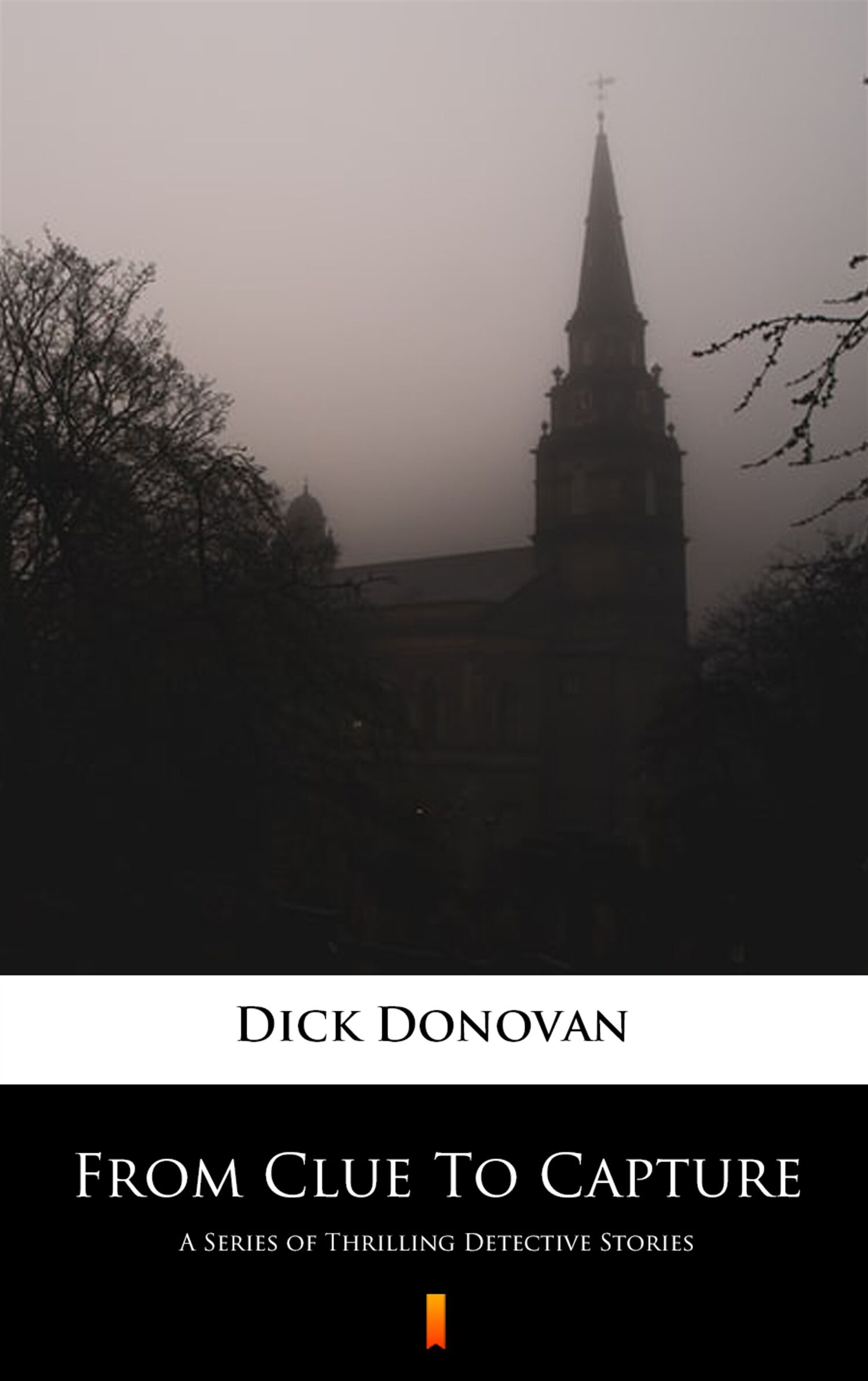 From Clue To Capture (e-book)