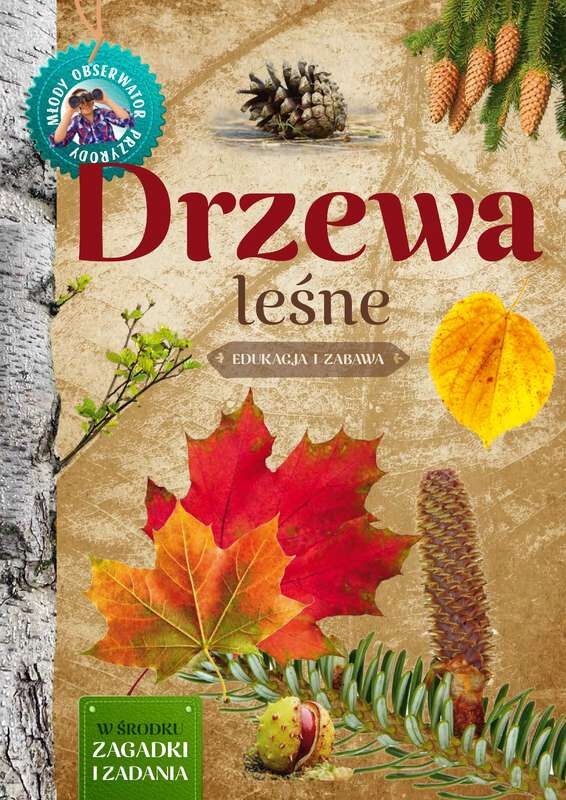 Drzewa leśne młody obserwator przyrody