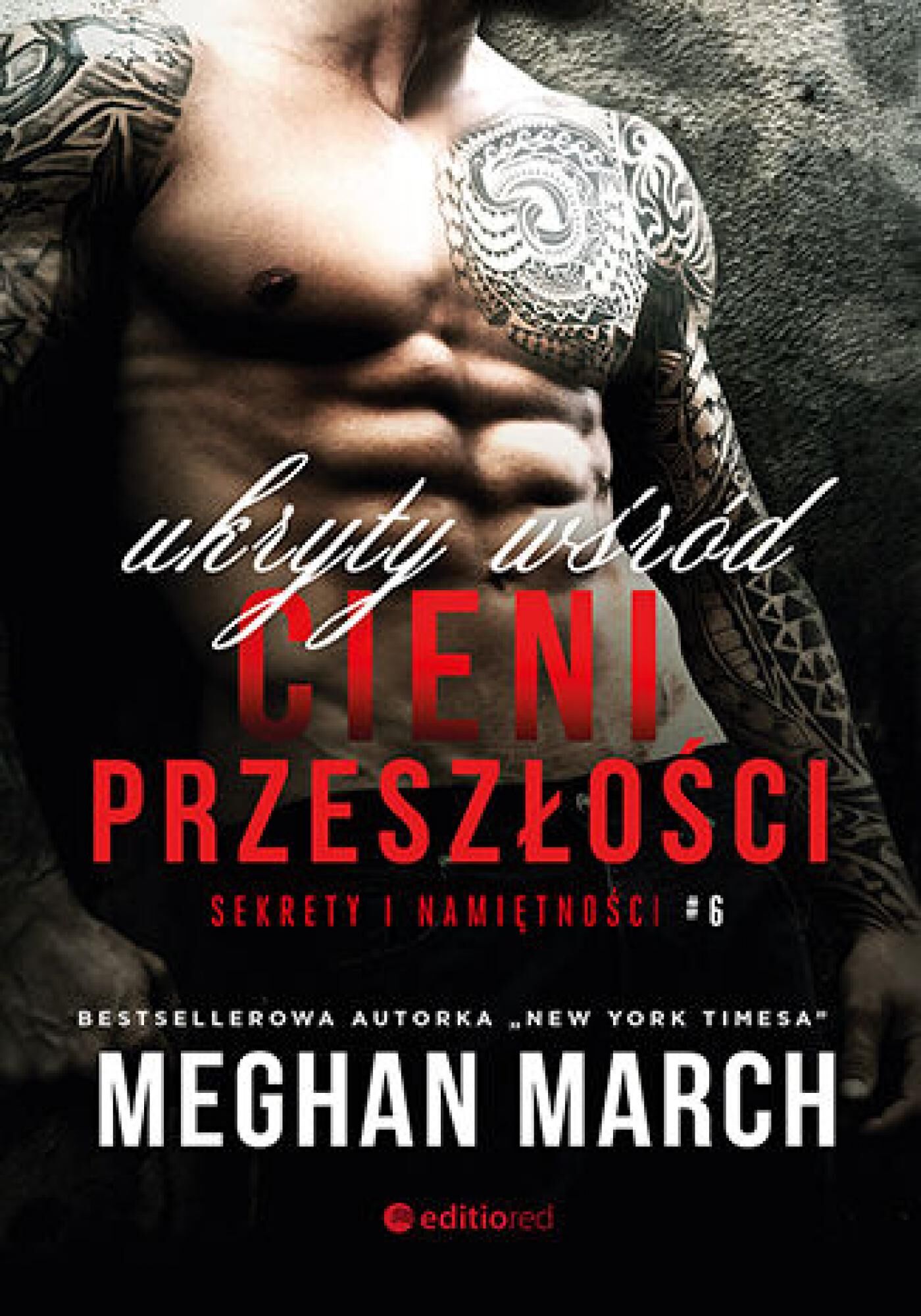Ukryty wśród cieni przeszłości. Sekrety i namiętności #6 (audiobook MP3)