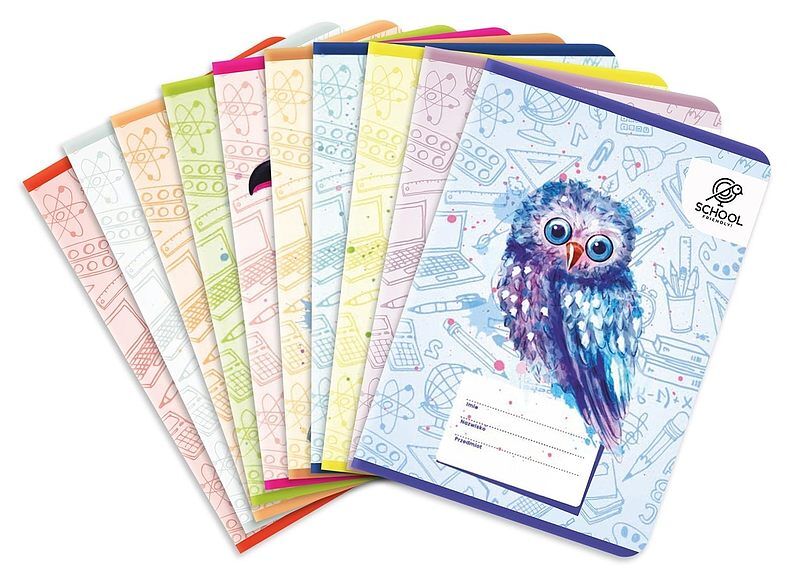 Zeszyt a5 32k kratka puffy birds pakiet 10 sztuk mix