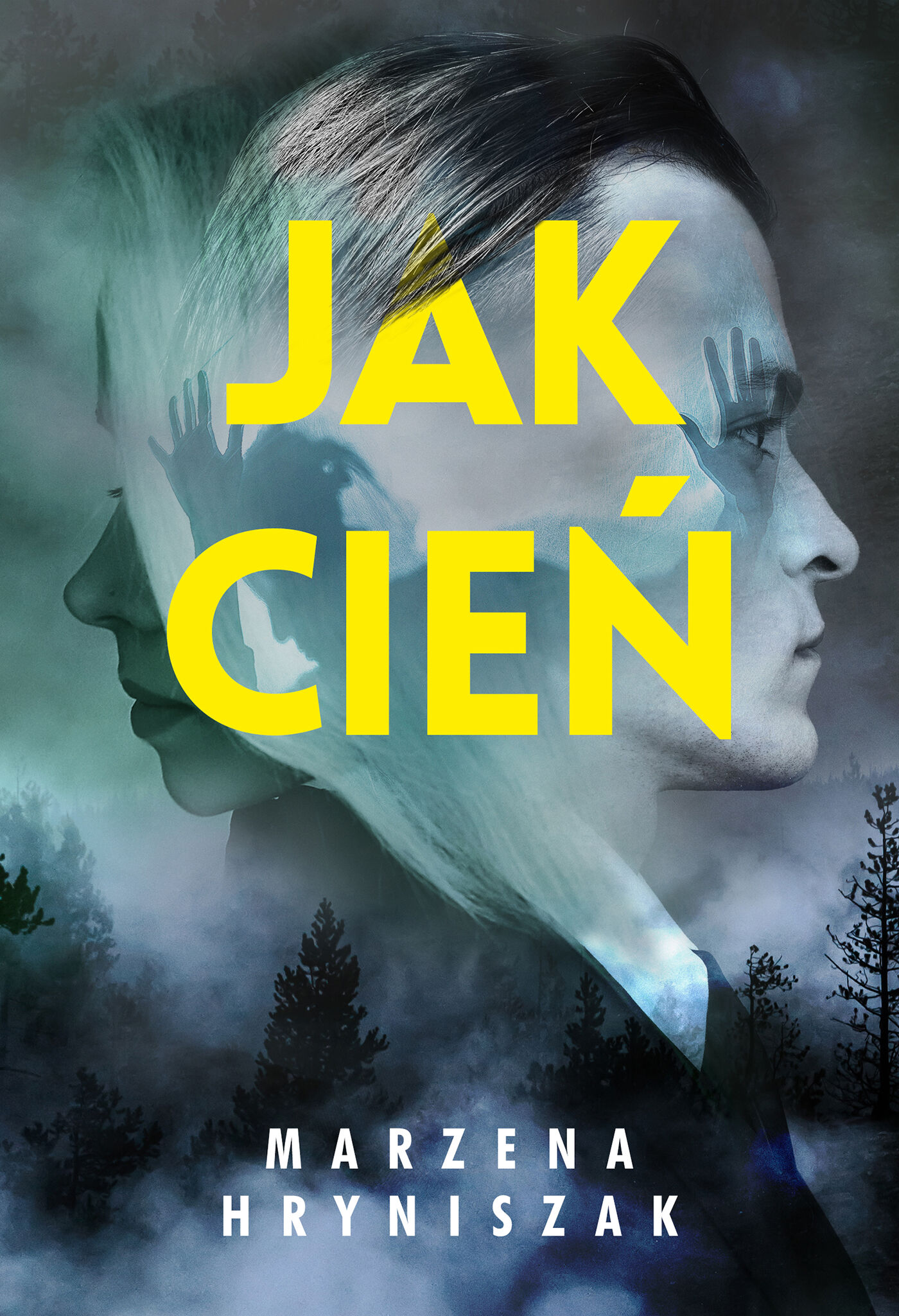 Jak cień (e-book)