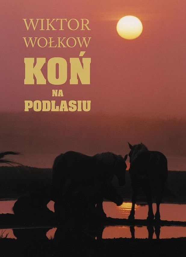 Koń na podlasiu
