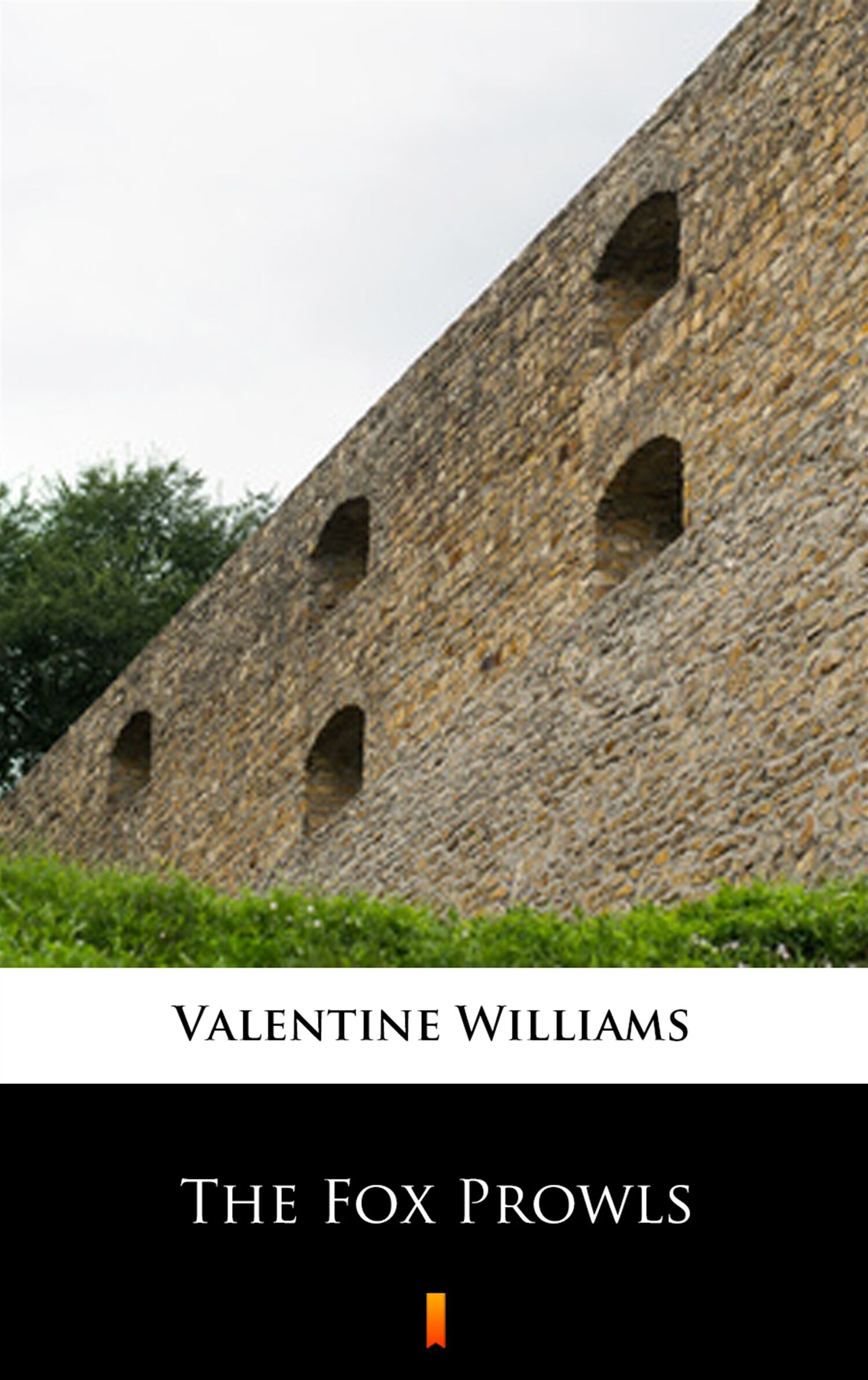 The Fox Prowls (e-book)