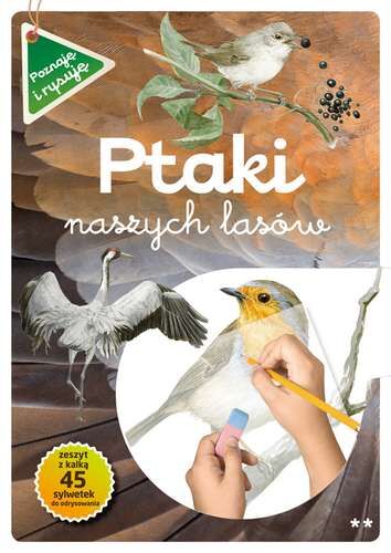 Ptaki naszych lasów część 2 poznaję i rysuję