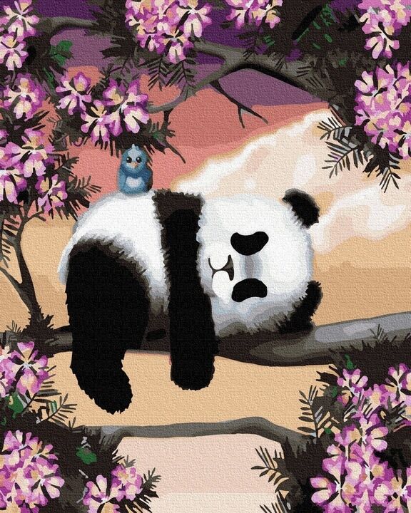 Malowanie po numerach Śpiąca panda