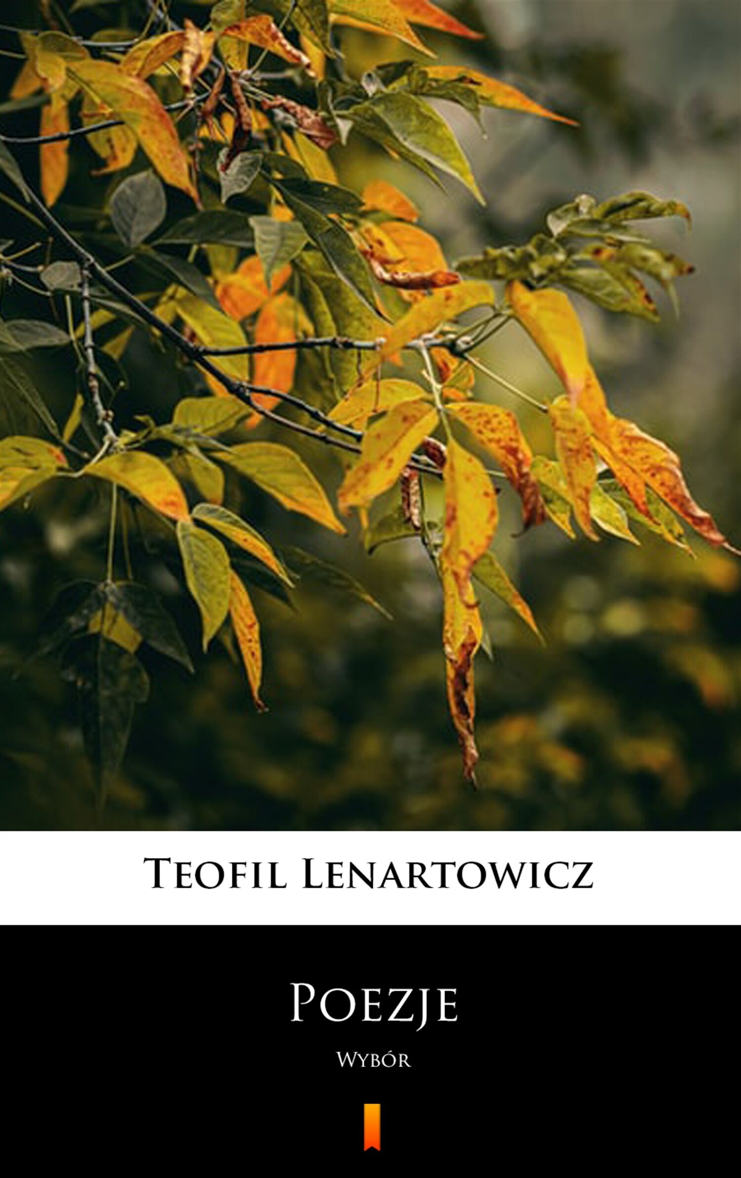 Poezje (e-book)
