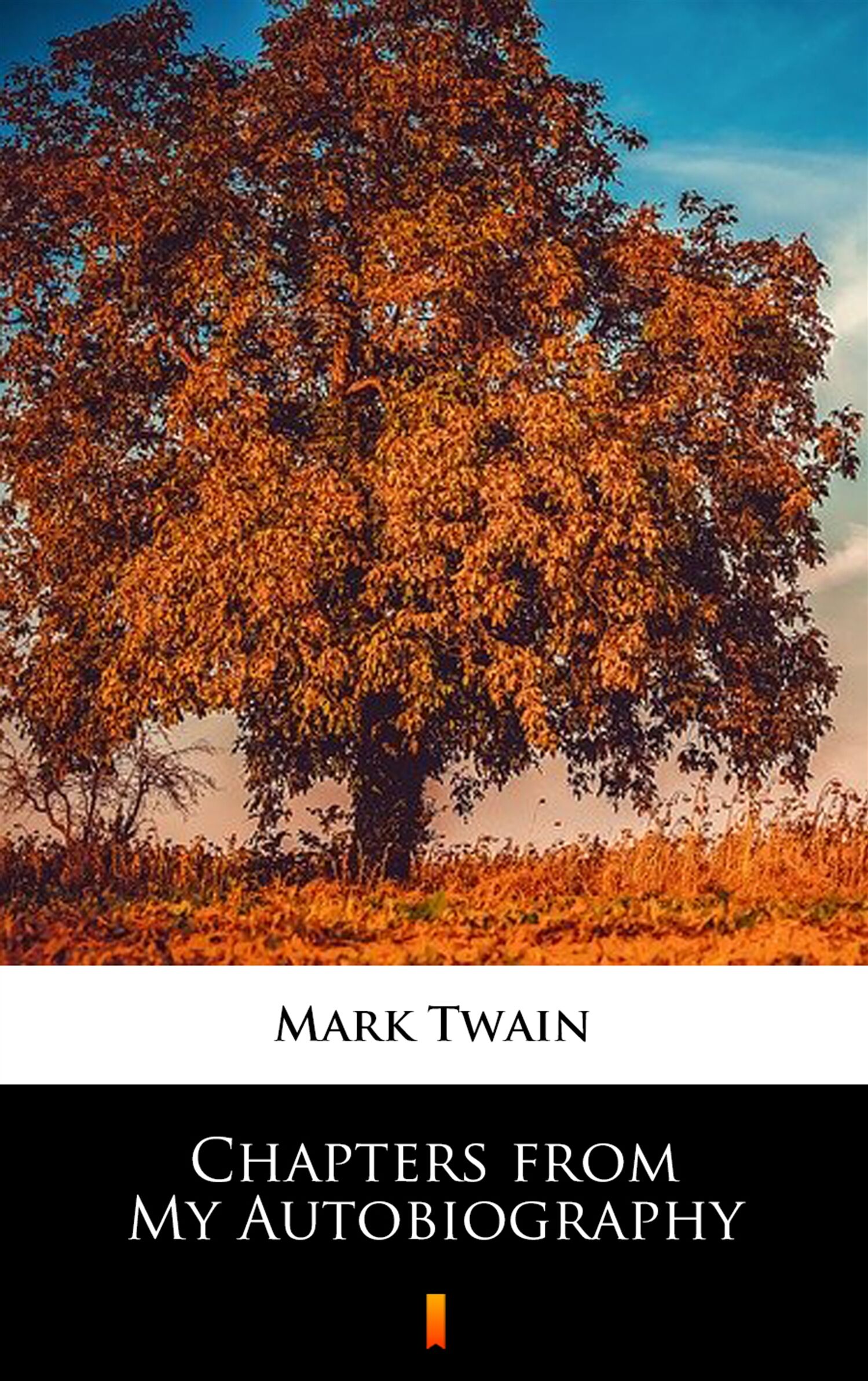 Chapters from My Autobiography (e-book)