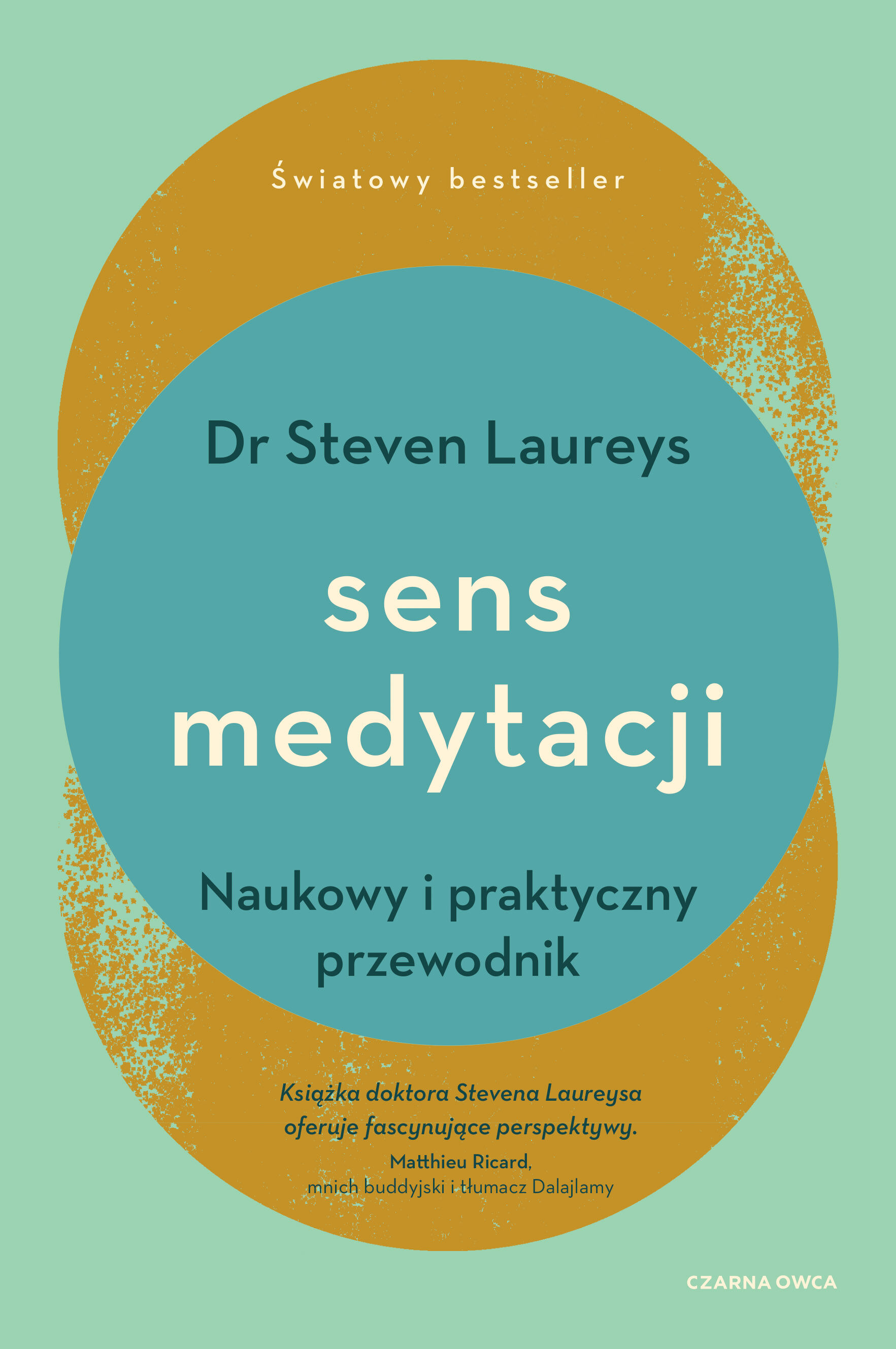 Sens medytacji (e-book)