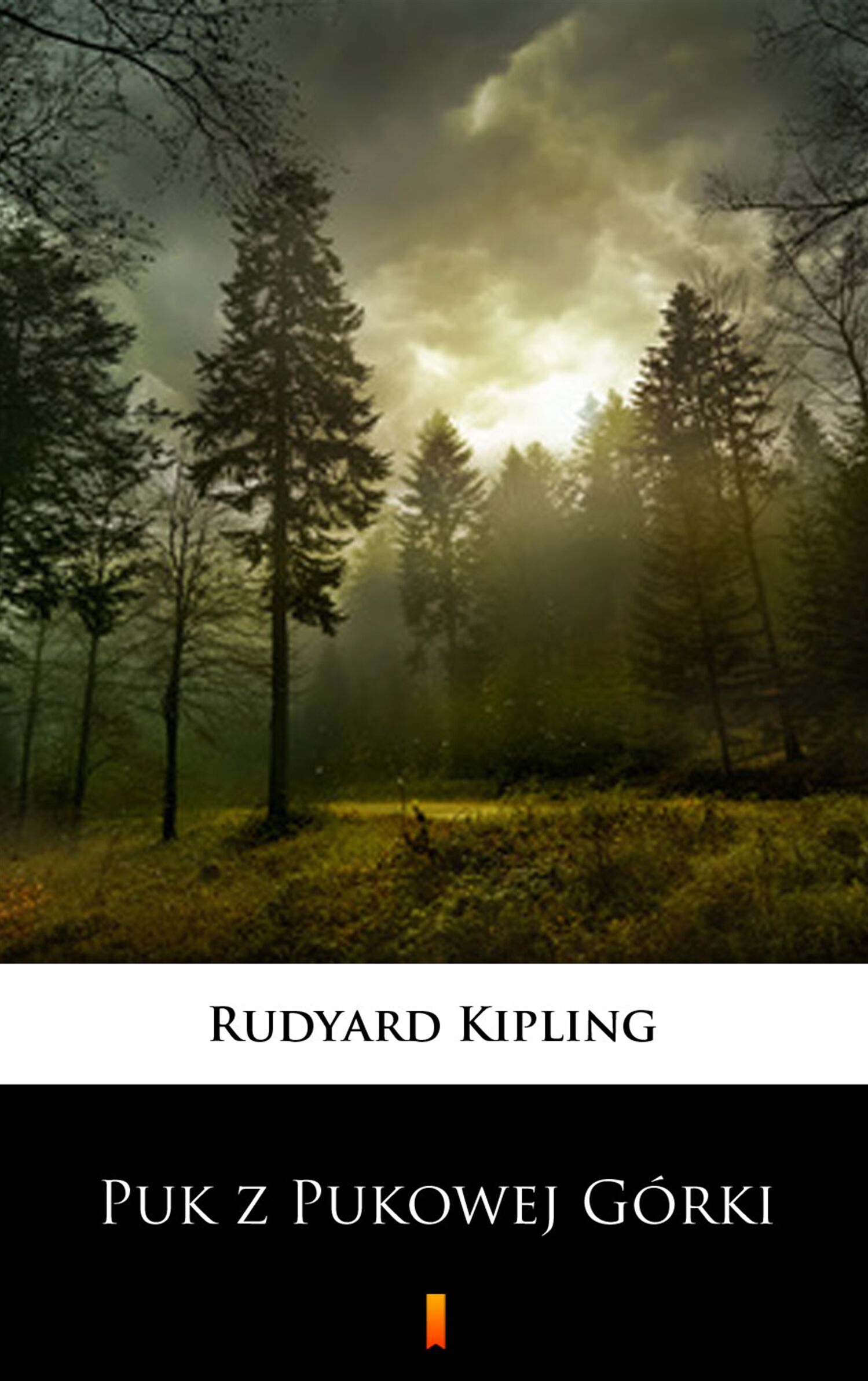 Puk z Pukowej Górki (e-book)