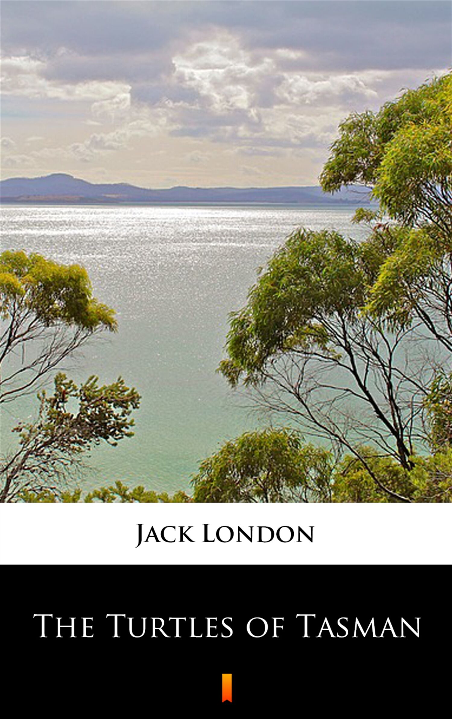 The Turtles of Tasman (e-book)